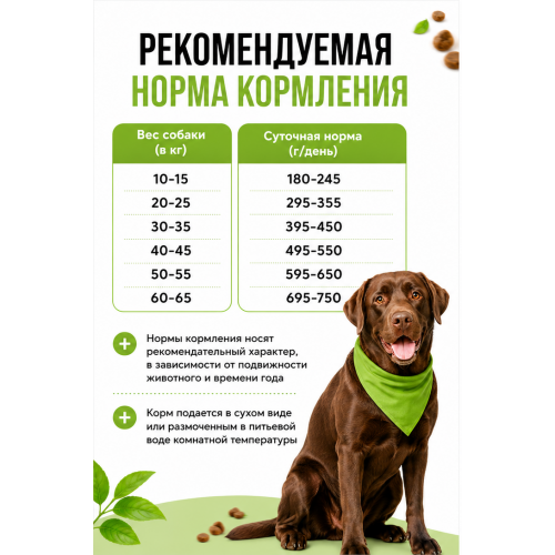Zooring Lamb&Rice сухой корм для взрослых собак средних и крупных пород при аллергии и проблемах с пищеварением с ягненком и рисом